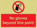 no-gloves-beyond-this-point~